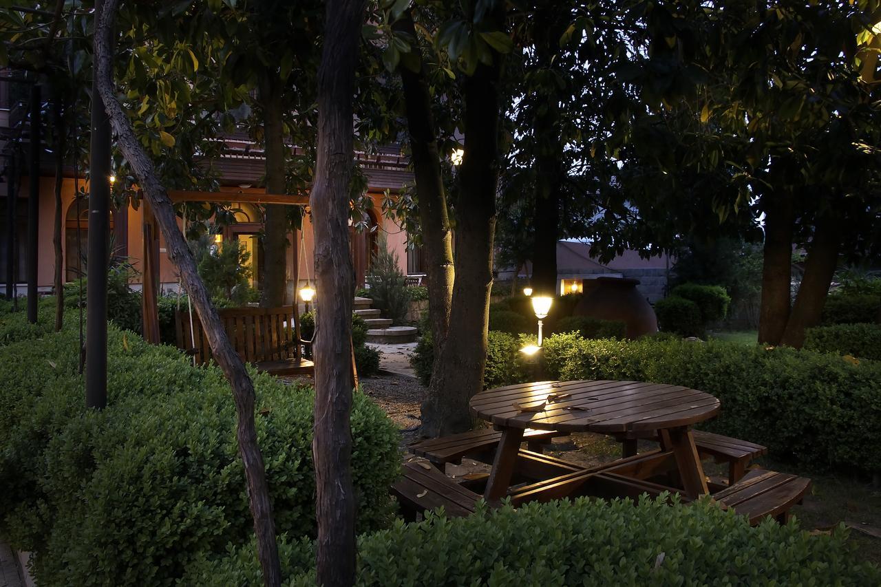 Anita House Hotel Perushtitsa Exterior photo